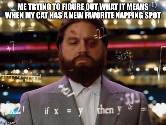 Zach Galifianakis | ME TRYING TO FIGURE OUT WHAT IT MEANS WHEN MY CAT HAS A NEW FAVORITE NAPPING SPOT | image tagged in zach galifianakis,cats | made w/ Imgflip meme maker