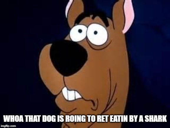Scooby Doo Surprised | WHOA THAT DOG IS ROING TO RET EATIN BY A SHARK | image tagged in scooby doo surprised | made w/ Imgflip meme maker