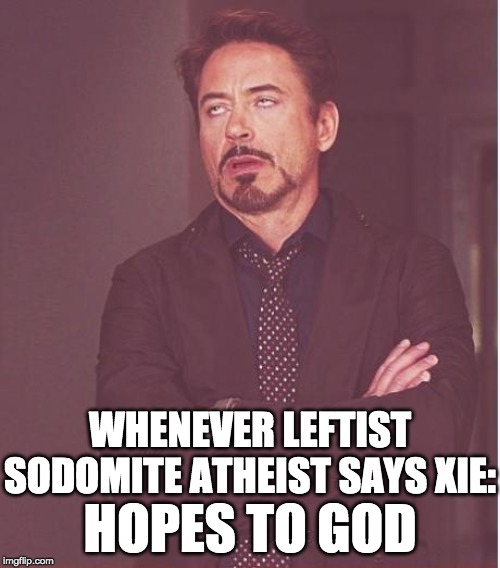 Face You Make Robert Downey Jr Meme | HOPES TO GOD WHENEVER LEFTIST SODOMITE ATHEIST SAYS XIE: | image tagged in memes,face you make robert downey jr | made w/ Imgflip meme maker