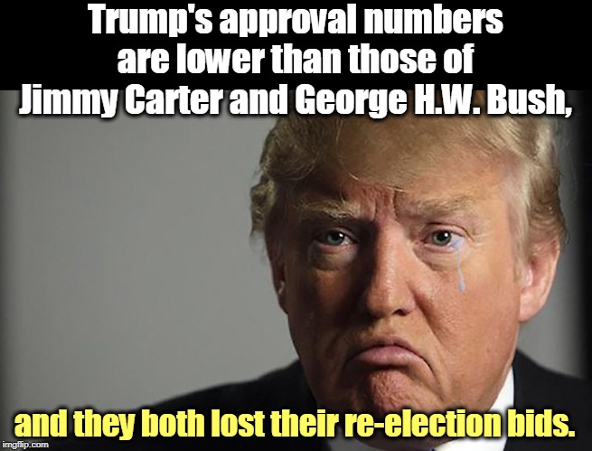 Lo-o-o-o-o-o-o-o-s-e-r! | Trump's approval numbers are lower than those of Jimmy Carter and George H.W. Bush, and they both lost their re-election bids. | image tagged in trump crying,approval,election 2020 | made w/ Imgflip meme maker