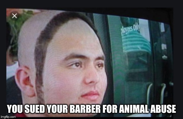 YOU SUED YOUR BARBER FOR ANIMAL ABUSE | image tagged in bad haircut | made w/ Imgflip meme maker