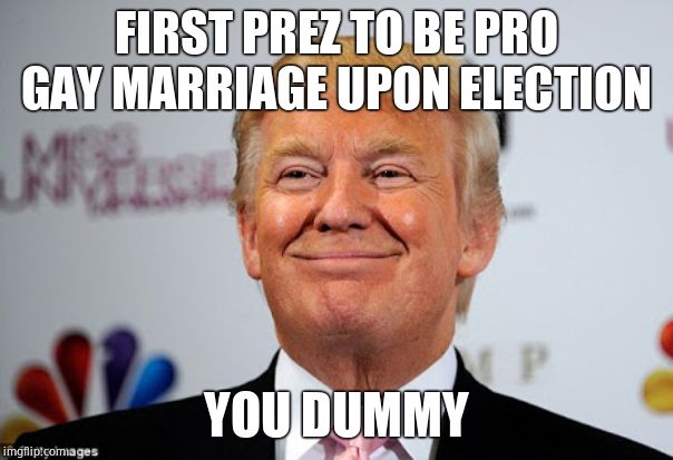 Donald trump approves | FIRST PREZ TO BE PRO GAY MARRIAGE UPON ELECTION YOU DUMMY | image tagged in donald trump approves | made w/ Imgflip meme maker