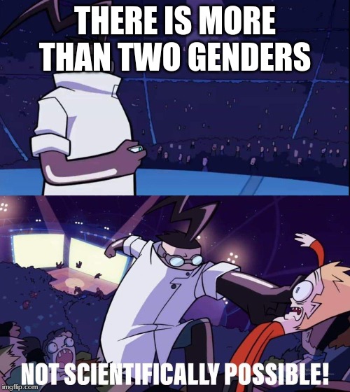 Invader zim meme | THERE IS MORE THAN TWO GENDERS | image tagged in invader zim meme | made w/ Imgflip meme maker