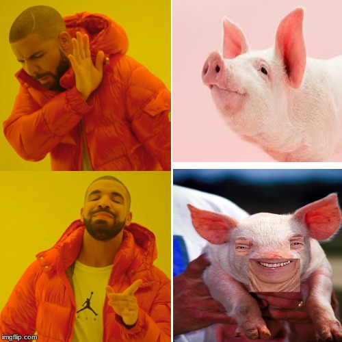 DRAKE IS PIG RACIST | image tagged in funny | made w/ Imgflip meme maker