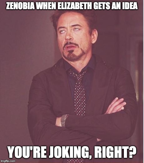 Face You Make Robert Downey Jr | ZENOBIA WHEN ELIZABETH GETS AN IDEA; YOU'RE JOKING, RIGHT? | image tagged in memes,face you make robert downey jr | made w/ Imgflip meme maker