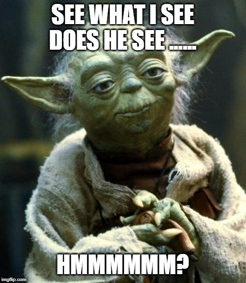 Star Wars Yoda Meme | SEE WHAT I SEE DOES HE SEE ...... HMMMMMM? | image tagged in memes,star wars yoda | made w/ Imgflip meme maker