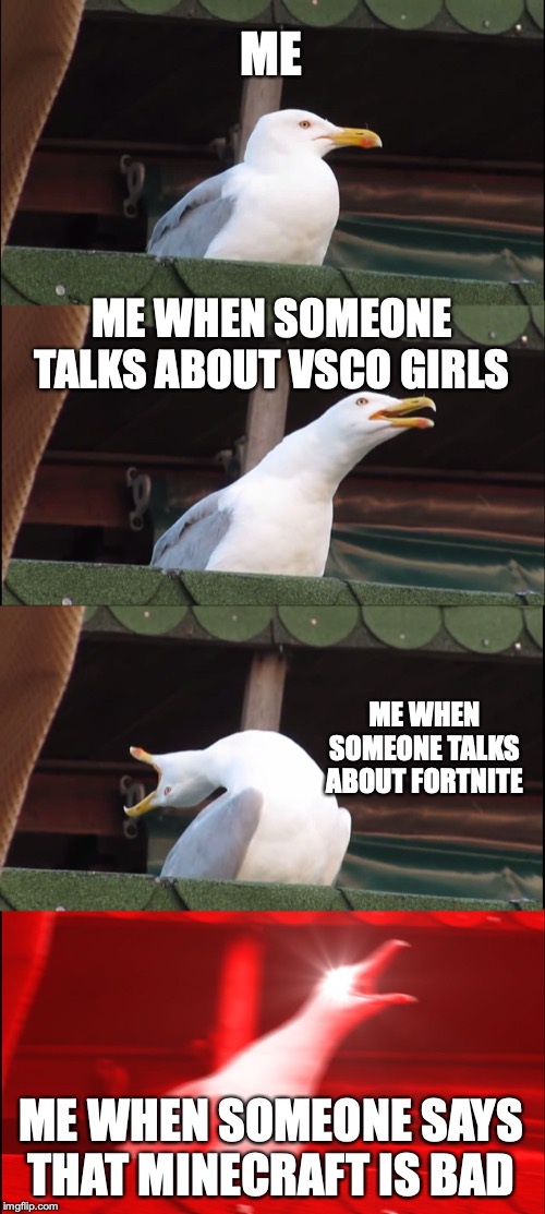 Inhaling Seagull Meme |  ME; ME WHEN SOMEONE TALKS ABOUT VSCO GIRLS; ME WHEN SOMEONE TALKS ABOUT FORTNITE; ME WHEN SOMEONE SAYS THAT MINECRAFT IS BAD | image tagged in memes,inhaling seagull | made w/ Imgflip meme maker