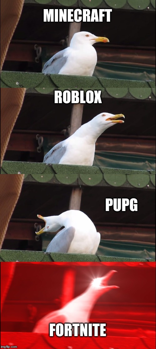 Video Game Classes | MINECRAFT; ROBLOX; PUPG; FORTNITE | image tagged in memes,inhaling seagull | made w/ Imgflip meme maker