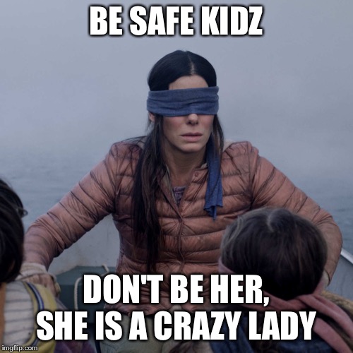 Bird Box | BE SAFE KIDZ; DON'T BE HER, SHE IS A CRAZY LADY | image tagged in memes,bird box | made w/ Imgflip meme maker