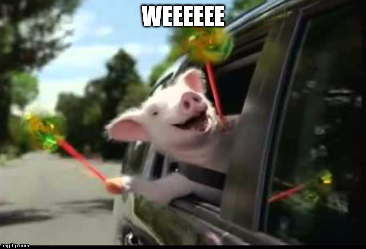 Geico Weeee Pig | WEEEEEE | image tagged in geico weeee pig | made w/ Imgflip meme maker