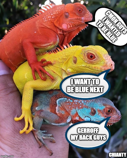 Geroff my back | CMON GUYS I WANTED TO BE BLUE; I WANT TO BE BLUE NEXT; CHIANTY; GERROFF  MY BACK GUYS | image tagged in blue | made w/ Imgflip meme maker