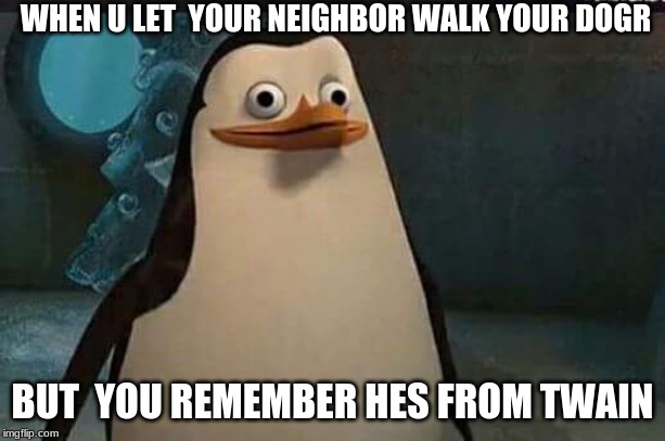 Madagascar penguin | WHEN U LET  YOUR NEIGHBOR WALK YOUR DOGR; BUT  YOU REMEMBER HES FROM TWAIN | image tagged in madagascar penguin | made w/ Imgflip meme maker