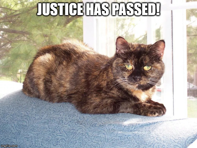 Cat | JUSTICE HAS PASSED! | image tagged in cat | made w/ Imgflip meme maker