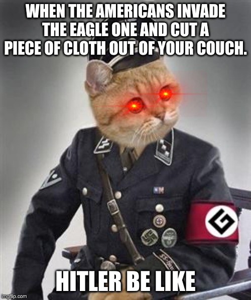 Grammar Nazi Cat | WHEN THE AMERICANS INVADE THE EAGLE ONE AND CUT A PIECE OF CLOTH OUT OF YOUR COUCH. HITLER BE LIKE | image tagged in grammar nazi cat | made w/ Imgflip meme maker