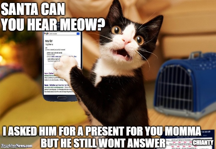 Santa | SANTA CAN YOU HEAR MEOW? I ASKED HIM FOR A PRESENT FOR YOU MOMMA 
BUT HE STILL WONT ANSWER; CHIANTY | image tagged in answer | made w/ Imgflip meme maker