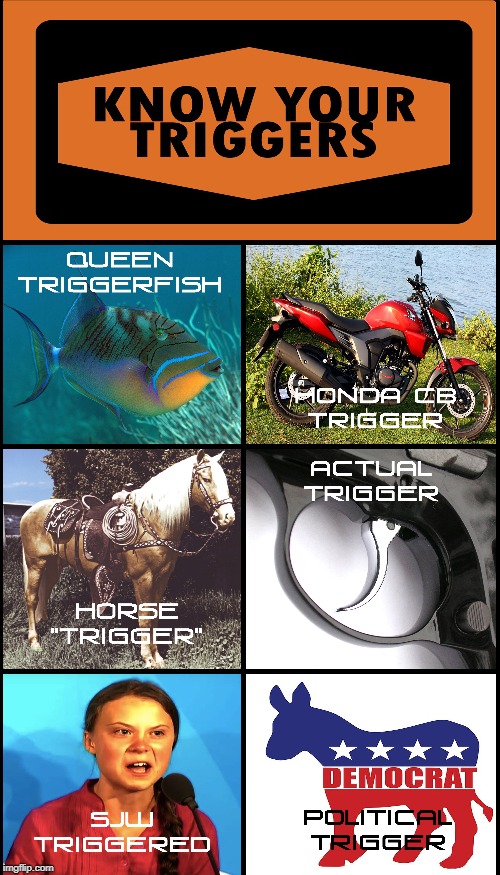 Know Your "Triggers" | image tagged in triggered,triggered liberal,triggered feminist,sjw triggered,democrats | made w/ Imgflip meme maker