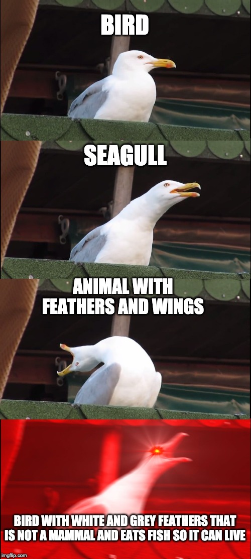 Inhaling Seagull | BIRD; SEAGULL; ANIMAL WITH FEATHERS AND WINGS; BIRD WITH WHITE AND GREY FEATHERS THAT IS NOT A MAMMAL AND EATS FISH SO IT CAN LIVE | image tagged in memes,inhaling seagull | made w/ Imgflip meme maker