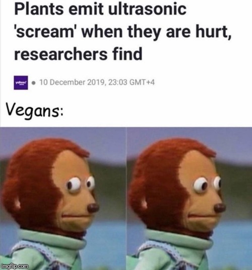 Vegans are not so innocent | image tagged in vegan,vegetarian,plants,peta,animals,funny memes | made w/ Imgflip meme maker