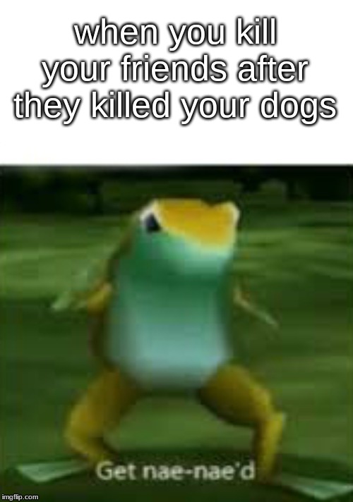 Get nae nae'd | when you kill your friends after they killed your dogs | image tagged in get nae nae'd | made w/ Imgflip meme maker