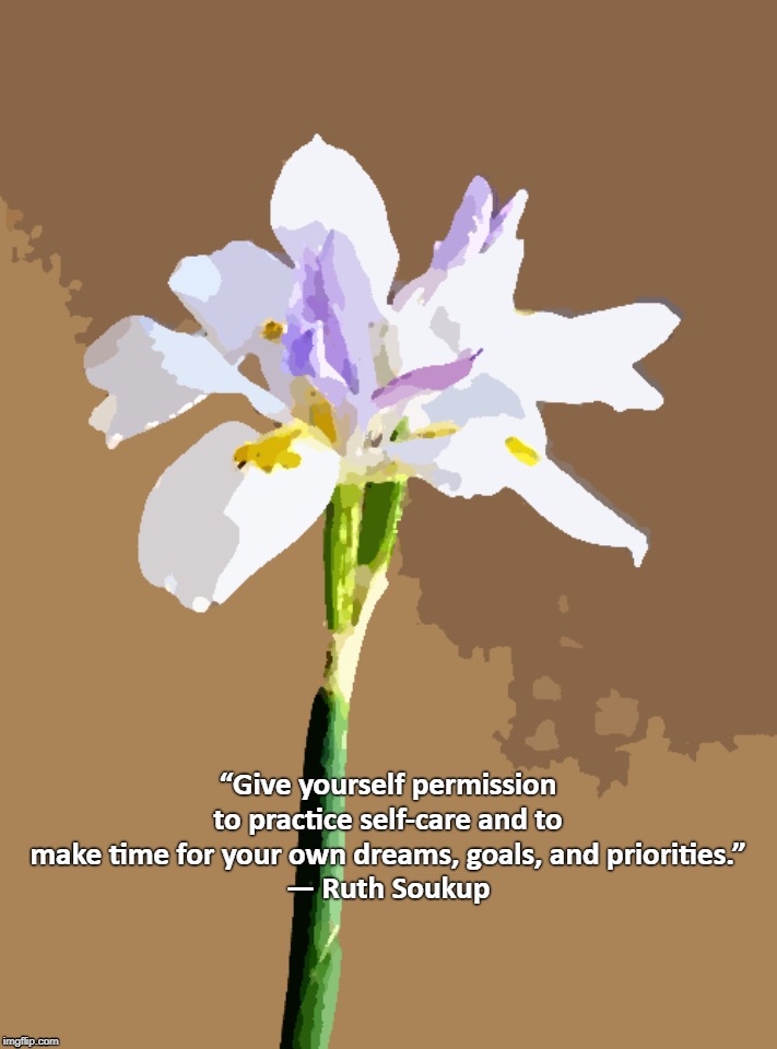 “Give yourself permission to practice self-care and to make time for your own dreams, goals, and priorities.”
― Ruth Soukup | image tagged in positive thinking | made w/ Imgflip meme maker