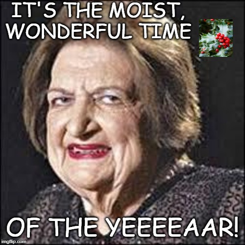 Moist, wonderful time | IT'S THE MOIST, WONDERFUL TIME; OF THE YEEEEAAR! | image tagged in moist,merry christmas,moist wonderful time | made w/ Imgflip meme maker