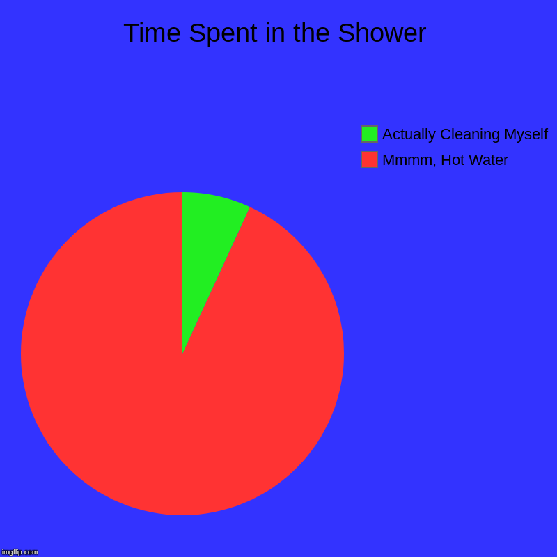 Time Spent in the Shower | Mmmm, Hot Water, Actually Cleaning Myself | image tagged in charts,pie charts | made w/ Imgflip chart maker