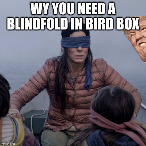 Bird Box Meme | WY YOU NEED A BLINDFOLD IN BIRD BOX | image tagged in memes,bird box | made w/ Imgflip meme maker