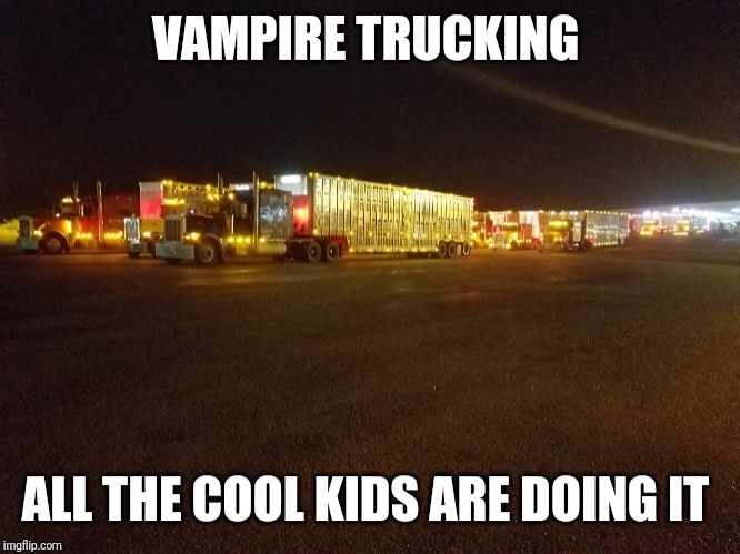 Vampire trucking | image tagged in vampire | made w/ Imgflip meme maker