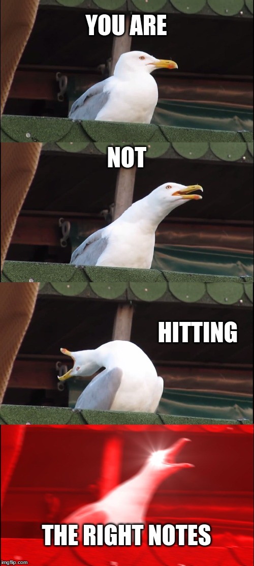 Inhaling Seagull | YOU ARE; NOT; HITTING; THE RIGHT NOTES | image tagged in memes,inhaling seagull | made w/ Imgflip meme maker