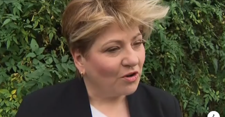 Labour Thornberry Blank Meme Template