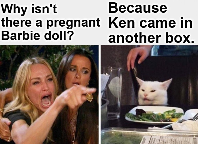 Why isn't there a pregnant Barbie doll? | image tagged in barbie meme week,barbie,smudge the cat,lady screams at cat,barbie and ken dolls | made w/ Imgflip meme maker