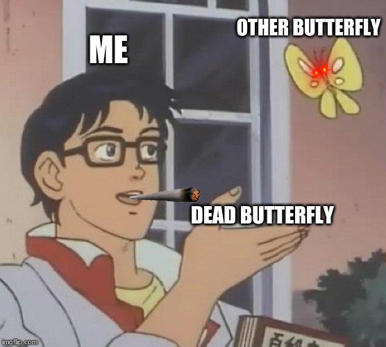 Is This A Pigeon | OTHER BUTTERFLY; ME; DEAD BUTTERFLY | image tagged in memes,is this a pigeon | made w/ Imgflip meme maker