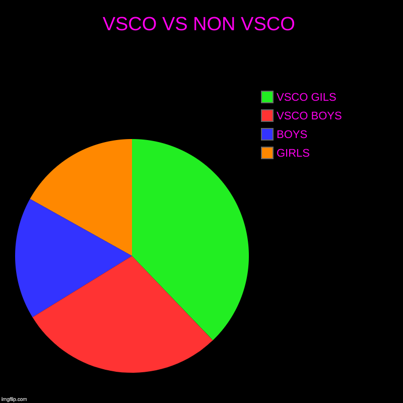 VSCO VS NON VSCO | GIRLS, BOYS, VSCO BOYS, VSCO GILS | image tagged in charts,pie charts | made w/ Imgflip chart maker