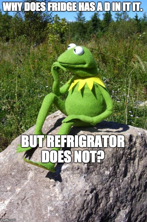 Kermit-thinking |  WHY DOES FRIDGE HAS A D IN IT IT. BUT REFRIGRATOR DOES NOT? | image tagged in kermit-thinking | made w/ Imgflip meme maker