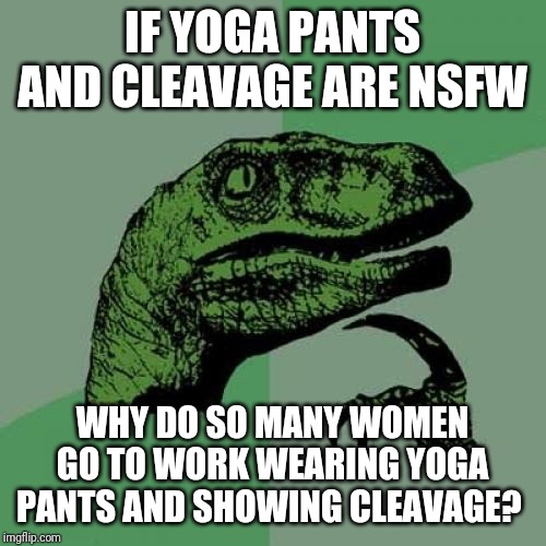 Philosoraptor | IF YOGA PANTS AND CLEAVAGE ARE NSFW; WHY DO SO MANY WOMEN GO TO WORK WEARING YOGA PANTS AND SHOWING CLEAVAGE? | image tagged in memes,philosoraptor | made w/ Imgflip meme maker