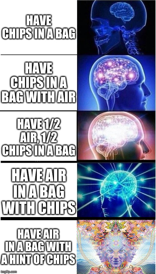 Brain Growth Extended | HAVE CHIPS IN A BAG; HAVE CHIPS IN A BAG WITH AIR; HAVE 1/2 AIR, 1/2 CHIPS IN A BAG; HAVE AIR IN A BAG WITH CHIPS; HAVE AIR IN A BAG WITH A HINT OF CHIPS | image tagged in brain growth extended | made w/ Imgflip meme maker
