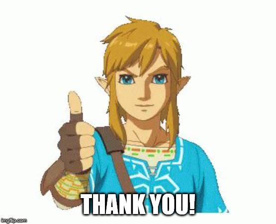 Link Thumbs Up | THANK YOU! | image tagged in link thumbs up | made w/ Imgflip meme maker
