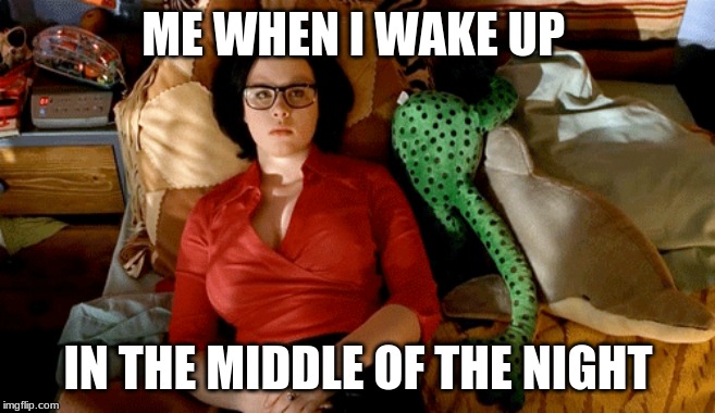 ME WHEN I WAKE UP; IN THE MIDDLE OF THE NIGHT | image tagged in funny,so true,work | made w/ Imgflip meme maker