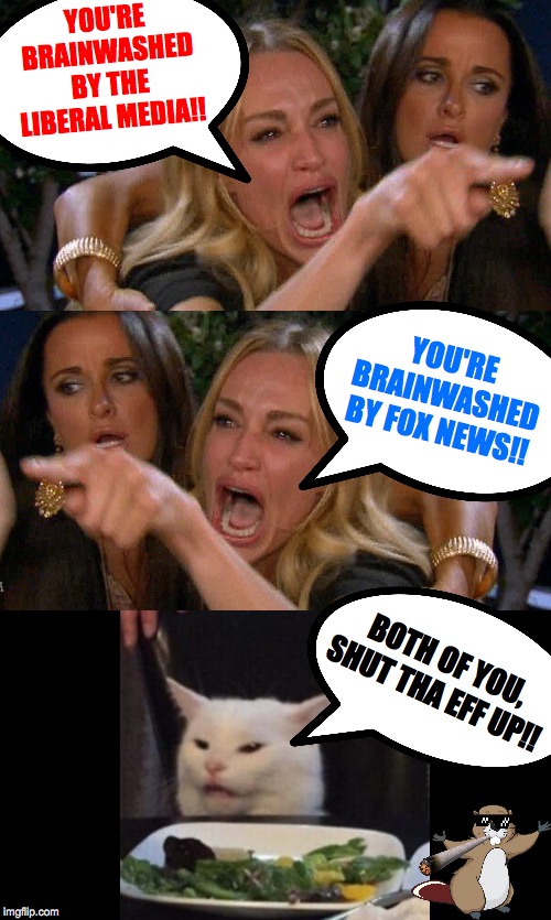 Non-Partisan | YOU'RE BRAINWASHED BY THE LIBERAL MEDIA!! YOU'RE BRAINWASHED BY FOX NEWS!! BOTH OF YOU, SHUT THA EFF UP!! | image tagged in memes,lady yelling at cat,politics,funny,dank memes,america | made w/ Imgflip meme maker