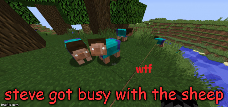 steve got busy with the sheep | image tagged in minecraft,wtf | made w/ Imgflip meme maker