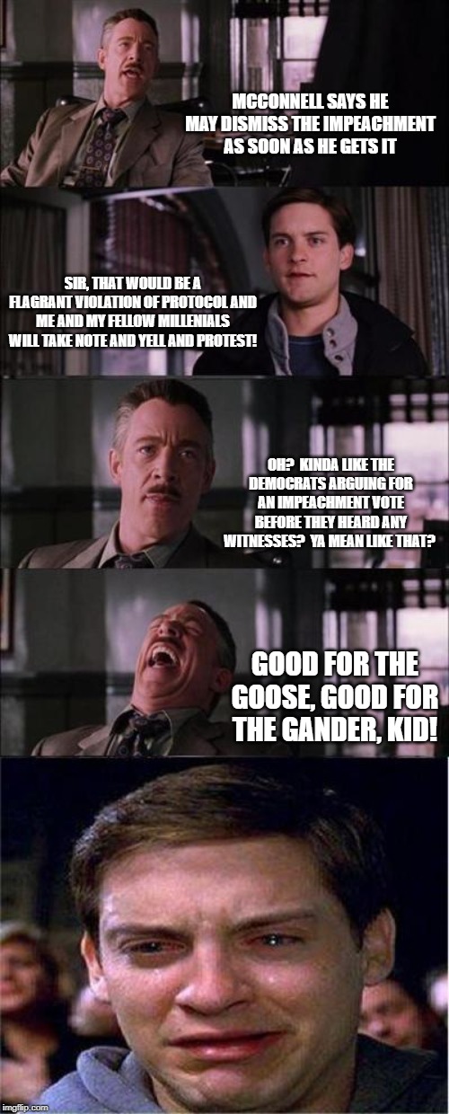 Cry Dems Please Cry! | MCCONNELL SAYS HE MAY DISMISS THE IMPEACHMENT AS SOON AS HE GETS IT; SIR, THAT WOULD BE A FLAGRANT VIOLATION OF PROTOCOL AND ME AND MY FELLOW MILLENIALS WILL TAKE NOTE AND YELL AND PROTEST! OH?  KINDA LIKE THE DEMOCRATS ARGUING FOR AN IMPEACHMENT VOTE BEFORE THEY HEARD ANY WITNESSES?  YA MEAN LIKE THAT? GOOD FOR THE GOOSE, GOOD FOR THE GANDER, KID! | image tagged in special kind of stupid,snowflakes,millennials,democrats,maga,donald trump approves | made w/ Imgflip meme maker