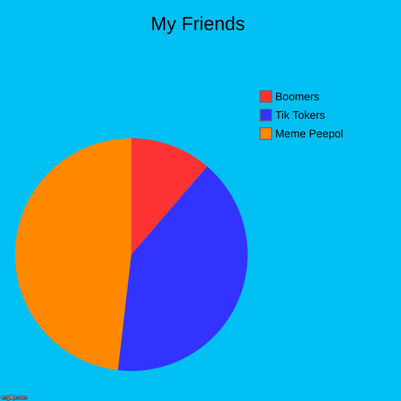 My Friends | Meme Peepol, Tik Tokers, Boomers | image tagged in charts,pie charts | made w/ Imgflip chart maker