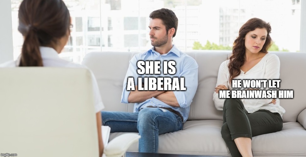 Divorce | SHE IS A LIBERAL; HE WON'T LET ME BRAINWASH HIM | image tagged in divorce | made w/ Imgflip meme maker