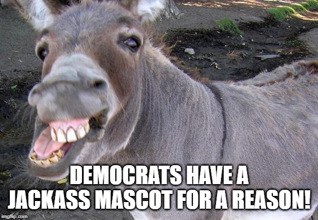 jackass | DEMOCRATS HAVE A JACKASS MASCOT FOR A REASON! | image tagged in jackass | made w/ Imgflip meme maker