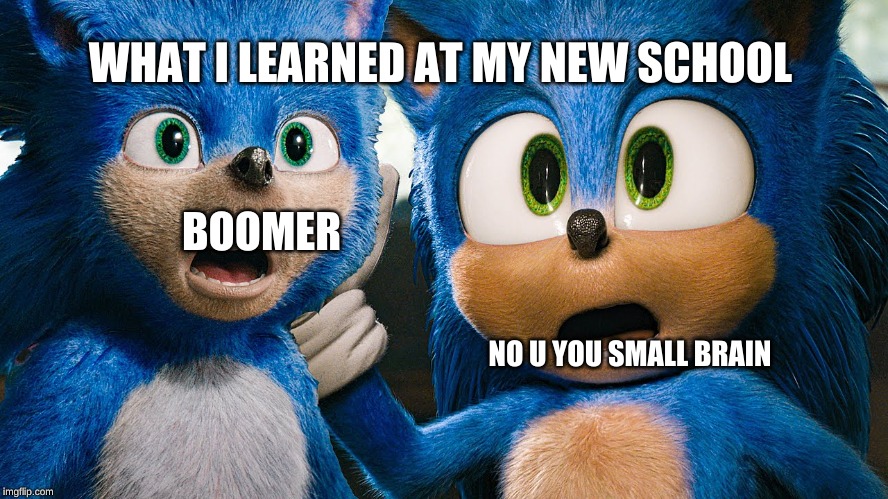 old sonic vs new sonic | WHAT I LEARNED AT MY NEW SCHOOL; BOOMER; NO U YOU SMALL BRAIN | image tagged in old sonic vs new sonic | made w/ Imgflip meme maker