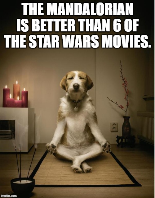 dog meditation funny | THE MANDALORIAN IS BETTER THAN 6 OF THE STAR WARS MOVIES. | image tagged in dog meditation funny | made w/ Imgflip meme maker