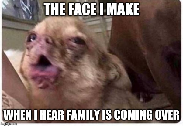 THE FACE I MAKE; WHEN I HEAR FAMILY IS COMING OVER | made w/ Imgflip meme maker