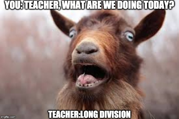 Scared goat | YOU: TEACHER, WHAT ARE WE DOING TODAY? TEACHER:LONG DIVISION | image tagged in scared goat | made w/ Imgflip meme maker