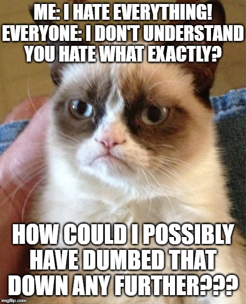 Grumpy Cat Meme | ME: I HATE EVERYTHING!
EVERYONE: I DON'T UNDERSTAND
YOU HATE WHAT EXACTLY? HOW COULD I POSSIBLY HAVE DUMBED THAT DOWN ANY FURTHER??? | image tagged in memes,grumpy cat | made w/ Imgflip meme maker