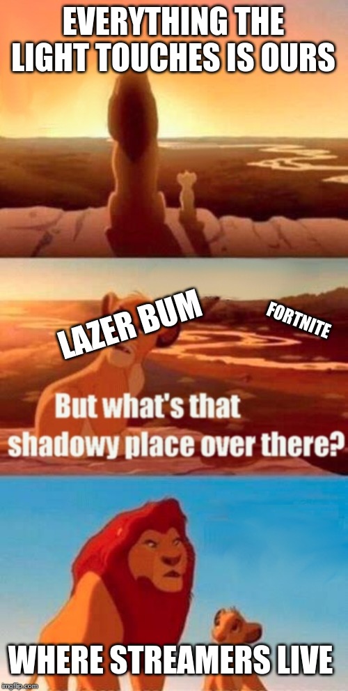 Simba Shadowy Place | EVERYTHING THE LIGHT TOUCHES IS OURS; LAZER BUM; FORTNITE; WHERE STREAMERS LIVE | image tagged in memes,simba shadowy place | made w/ Imgflip meme maker